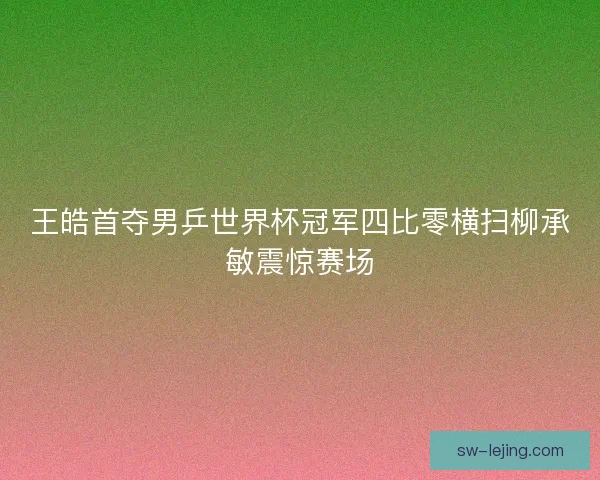 王皓首夺男乒世界杯冠军四比零横扫柳承敏震惊赛场