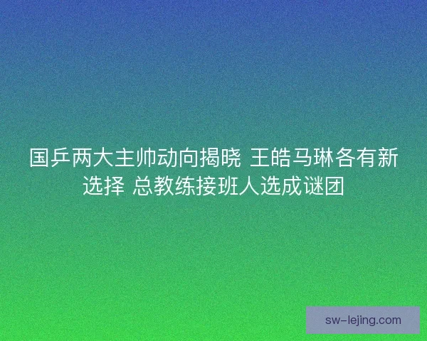 国乒两大主帅动向揭晓 王皓马琳各有新选择 总教练接班人选成谜团 国乒两大主帅动向揭晓 王皓马琳各有新选择 总教练接班人选成谜团